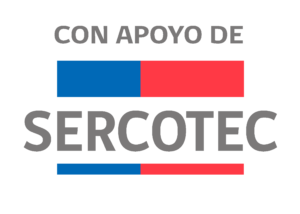 Sercotec texto gris